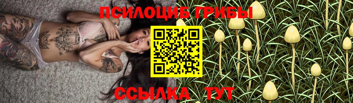 Галлюциногенные грибы Psilocybine cubensis Татарск
