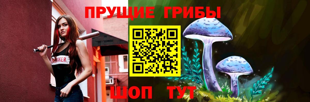 Татарск  Псилоцибиновые грибы мухоморы  Вход с VPN 